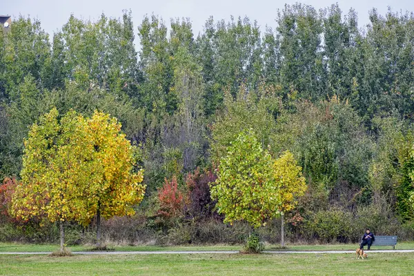 Milan (Włochy): Parco Nord o jesieni — Zdjęcie stockowe