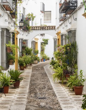 Cordoba (Endülüs, İspanya): sokak