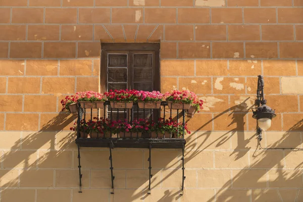 Leon (Spain): historic building — Stock Photo, Image