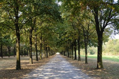 Milano (İtalya): Parco Nord Güz