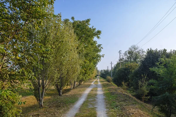 Mailand (Italien): Park von grugnotorto im Herbst — Stockfoto