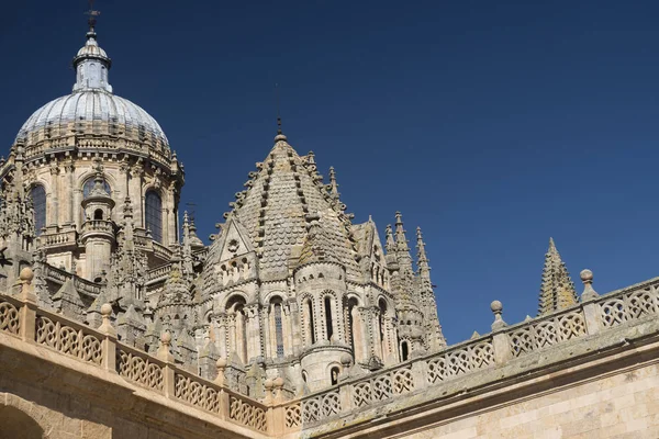 Salamanque (Espagne) : cathédrale historique — Photo