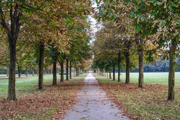 Milan (Italy): Parco Nord at fall — Stock Photo, Image