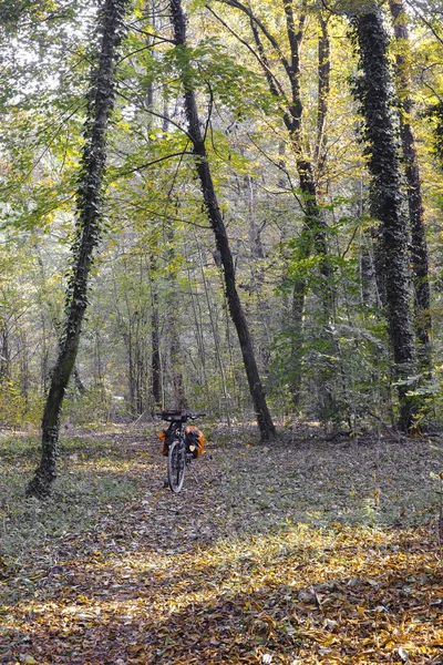 Monza (Italien): parken på hösten — Stockfoto