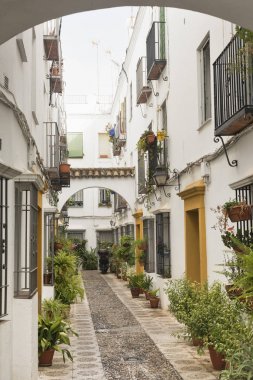 Cordoba (Endülüs, İspanya): sokak