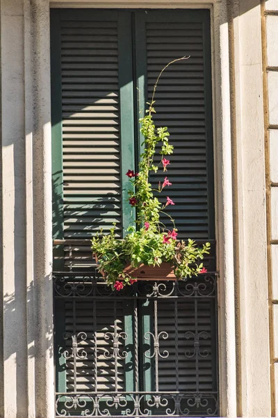 Milan (Italy): window in via Francesco Ferrucci — Stock Photo, Image