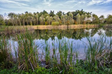 Grugnotorto park (Brianza, İtalya)