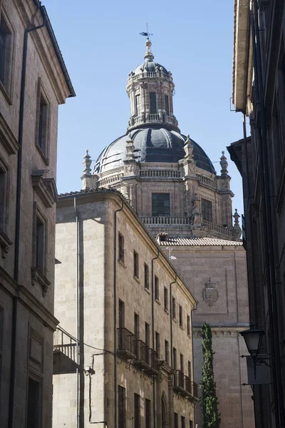 Salamanca (España): edificios históricos — Foto de Stock