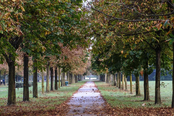 Milan (Włochy): Parco Nord o jesieni — Zdjęcie stockowe