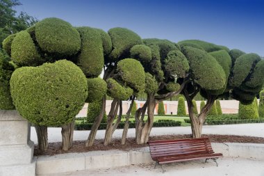 Madrid (İspanya): Buen Retiro Park