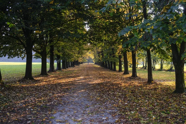 Monza (Italy):  the park at fall — Stock Photo, Image