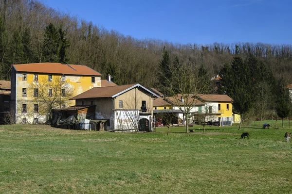 Olona vallei (Italië), boerderij met ezels — Stockfoto