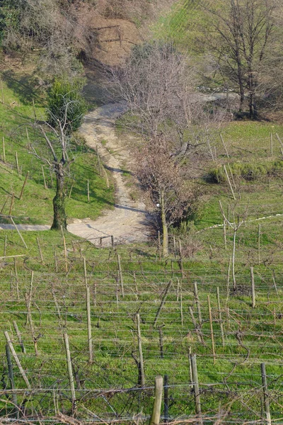 冬季景观附近 Montevecchia — 图库照片