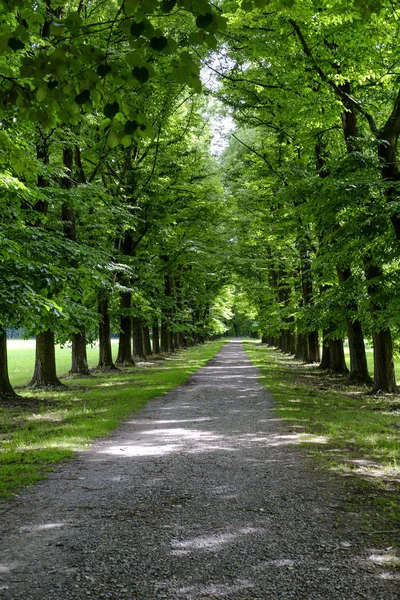 Monza park in the springtime — Stock Photo, Image