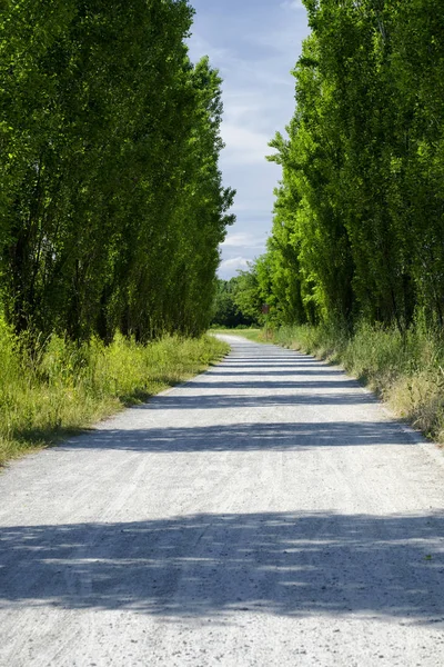 Grugnotorto Park, Landschaft im Frühling — Stockfoto