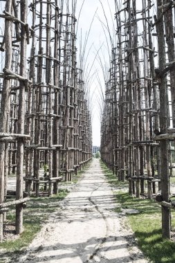 Lodi (Lombardy, İtalya): bitkisel Katedrali