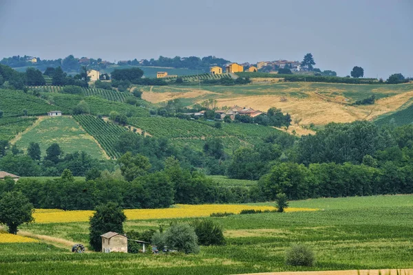 Oltrepo Piacentino (Ιταλία), αγροτικό τοπίο το καλοκαίρι — Φωτογραφία Αρχείου