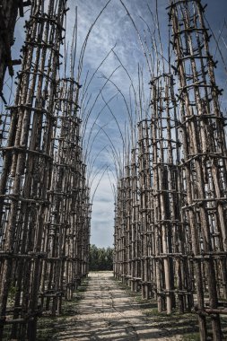 Lodi (Lombardy, İtalya): bitkisel Katedrali