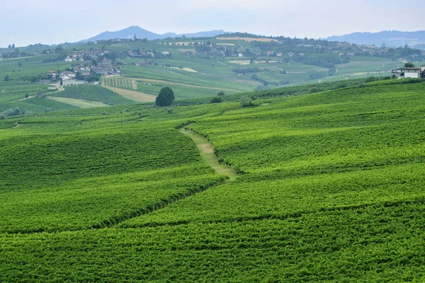 Oltrepo Piacentino (İtalya), yaz, kırsal manzara