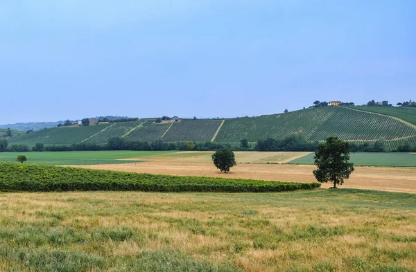 Oltrepo Piacentino (Włochy), krajobrazu wiejskiego, w lato — Zdjęcie stockowe