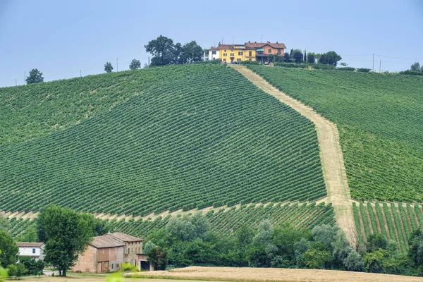 Oltrepo Piacentino (Italia), paesaggio rurale d'estate — Foto Stock