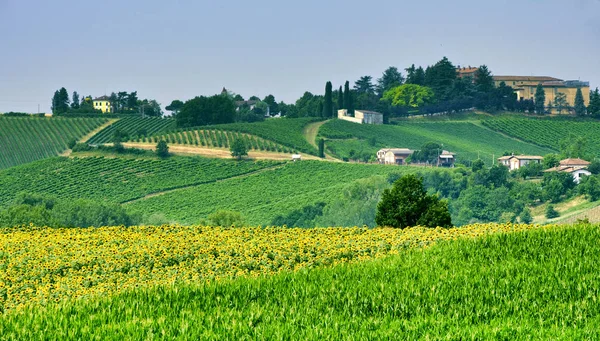 Oltrepo Piacentino (Itália), paisagem rural no verão — Fotografia de Stock