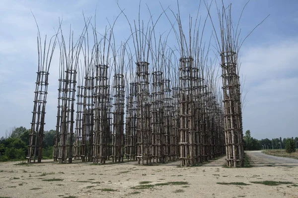 Lodi (Lombardy, İtalya): bitkisel Katedrali