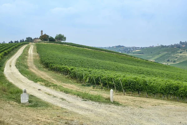 Oltrepo Piacentino (Italien), landsbygdens landskap på sommaren — Stockfoto