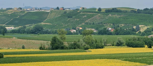 Oltrepo Piacentino (İtalya), yaz, kırsal manzara — Stok fotoğraf