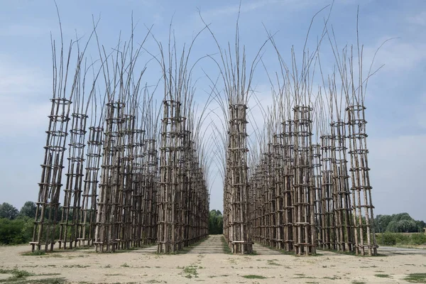 Lodi (Lombardy, İtalya): bitkisel Katedrali