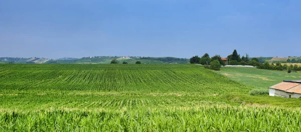 Oltrepo Piacentino (Italie), paysage rural en été — Photo