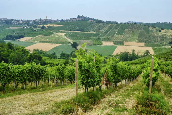 Oltrepo Piacentino (イタリア)、夏の田園風景 — ストック写真