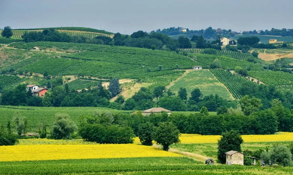 Oltre Piacentino (Itálie), venkovské krajiny na léto — Stock fotografie