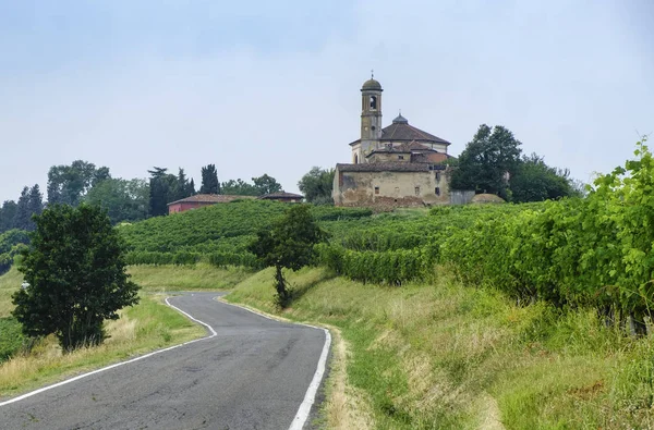 Oltrepo Piacentino (Italia), paesaggio rurale d'estate — Foto Stock