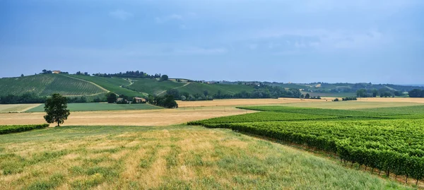 Oltrepo Piacentino (Ιταλία), αγροτικό τοπίο το καλοκαίρι — Φωτογραφία Αρχείου