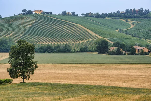 Oltrepo piacentino (italien), ländliche Landschaft im Sommer — Stockfoto