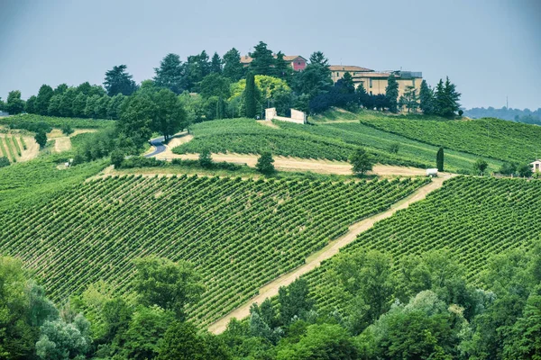 Oltrepo Piacentino （意大利），在夏天的乡村景观 — 图库照片