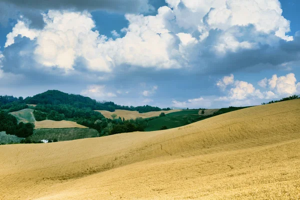 Oltrepo Pavese (Itália), paisagem rural no verão — Fotografia de Stock