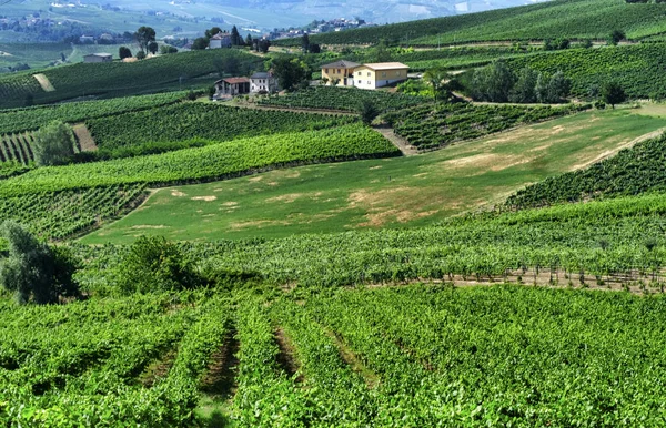 Oltrepo Pavese (İtalya), yaz, kırsal manzara