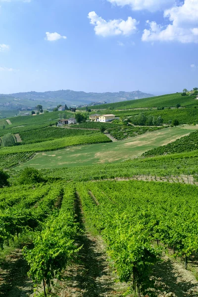 Oltrepo パヴェーゼ (イタリア)、夏の田園風景 — ストック写真