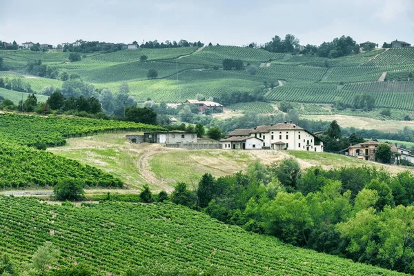 Oltrepo Piacentino （意大利），在夏天的乡村景观 — 图库照片