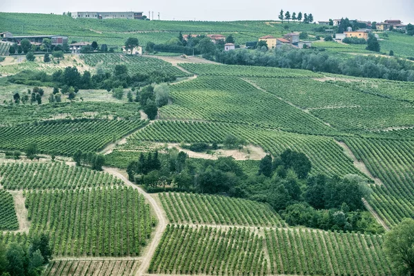 Oltrepo Piacentino (İtalya), yaz, kırsal manzara — Stok fotoğraf