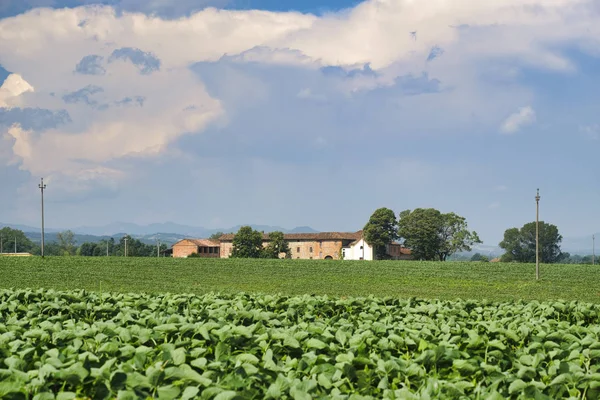 Ülkenin peyzaj Castell'Arquato yakın — Stok fotoğraf