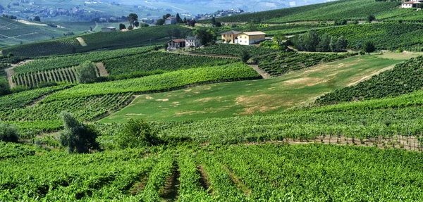 Oltrepo Pavese (İtalya), yaz, kırsal manzara