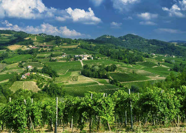 Oltrepo Pavese (İtalya), yaz, kırsal manzara