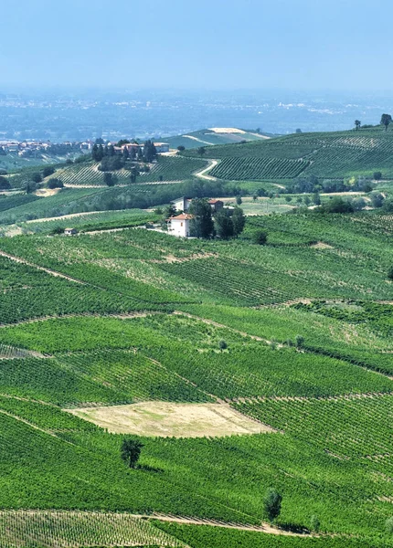 Oltrepo パヴェーゼ (イタリア)、夏の田園風景 — ストック写真