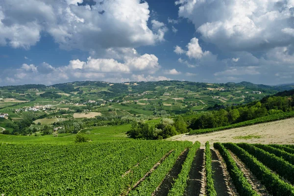 Ольтрепо-Павезе (Италия), сельский пейзаж летом — стоковое фото