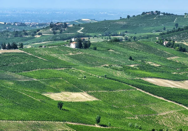 Oltrepo Pavese (Italy), rural landscape at summer — Stock Photo, Image