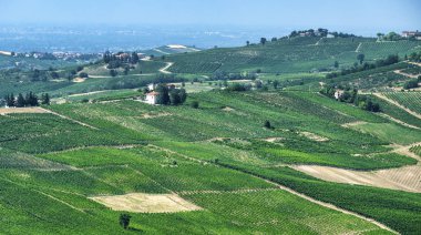 Oltrepo Pavese (İtalya), yaz, kırsal manzara