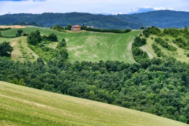 Yaz manzara yakınındaki SERRAMAZZONI (Modena, İtalya)
